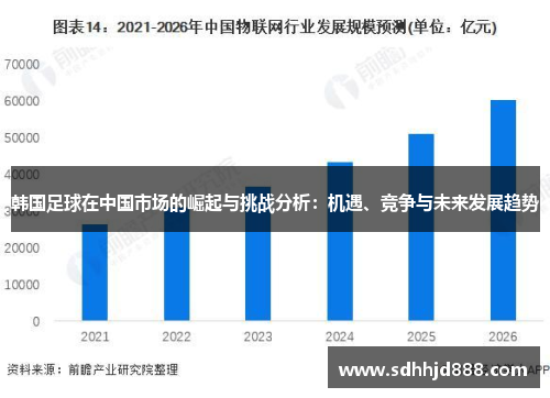韩国足球在中国市场的崛起与挑战分析：机遇、竞争与未来发展趋势