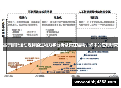 基于脚部运动规律的生物力学分析及其在运动训练中的应用研究