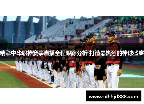 精彩中华职棒赛事直播全程跟踪分析 打造最热烈的棒球盛宴